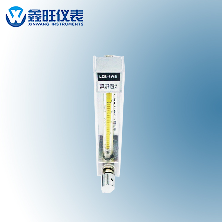 LZB-6WB玻璃转子流量计