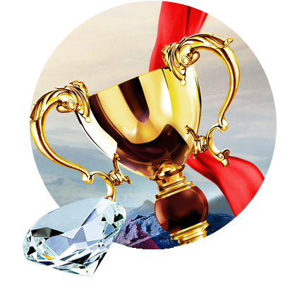 公司荣誉 公司荣誉